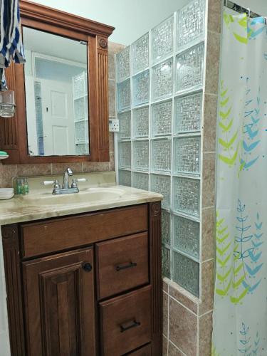 a bathroom with a sink and a glass wall at Modern 1 Bedroom Apartment Near Roseau in Canefield