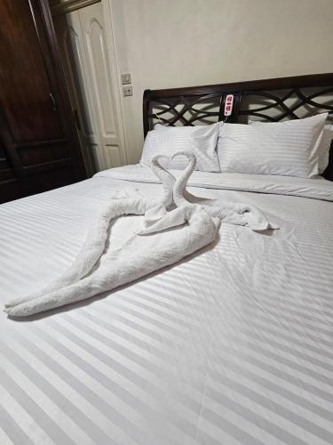 Classic Apartment Near the Nile, Downtown Cairo