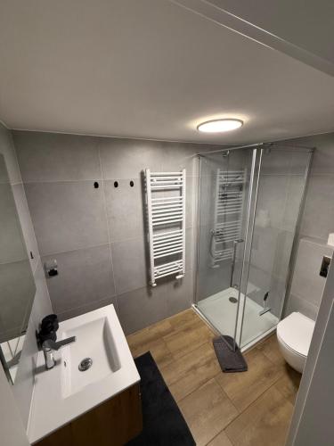 a bathroom with a shower and a sink and a toilet at Apartament Nowomiejska in Wałcz