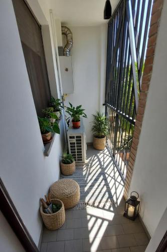 Casa Terzi photo 11
