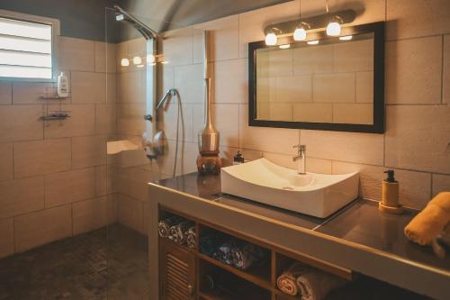 a bathroom with a sink and a mirror at L'Escapade des Hauts location saisonnière avec jacuzzi in Le Tampon