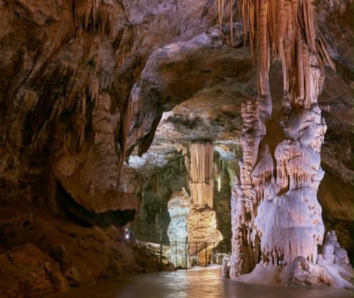 a cave filled with lots of rock formations at Sobe pri Roži in Postojna