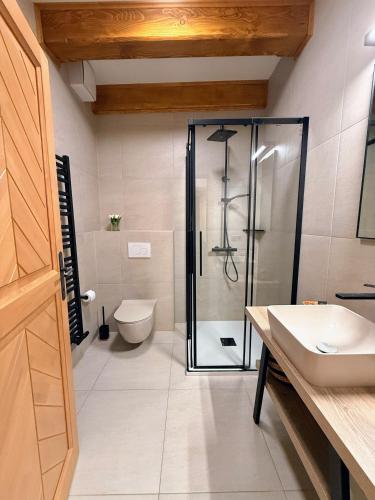 a bathroom with a shower and a toilet and a sink at Apartmán Jezerné in Velké Karlovice