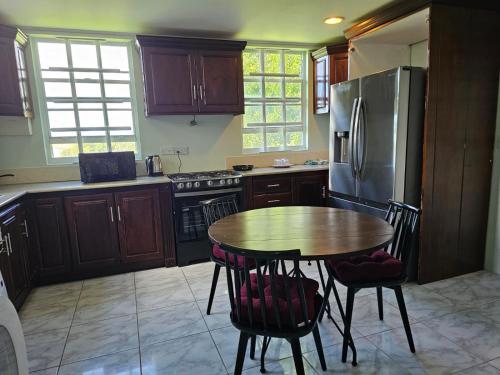 Spacious Modern 2-bedroom Apartment near Roseau