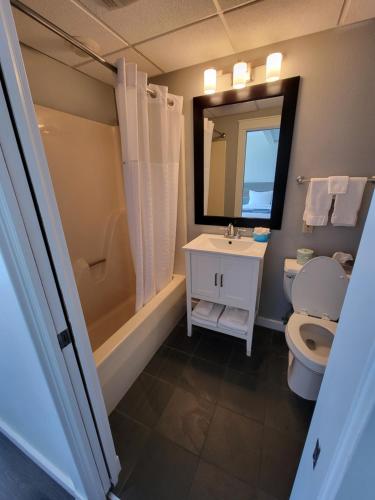 a bathroom with a toilet and a sink and a mirror at Brio Beach Inn in Traverse City