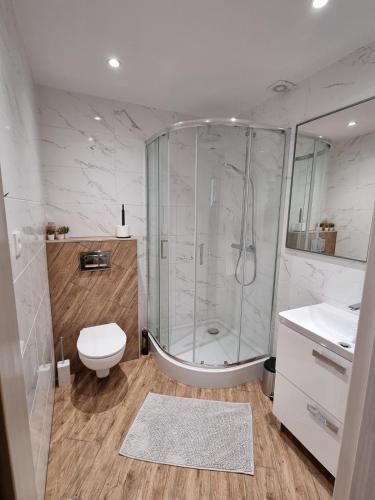 a bathroom with a shower and a toilet and a sink at Domek w okolicy Karpacza in Marczyce