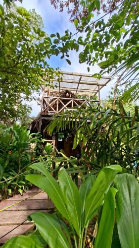 a wooden structure in the middle of a forest at Mangle House Cabañas Ladrilleros in Buenaventura
