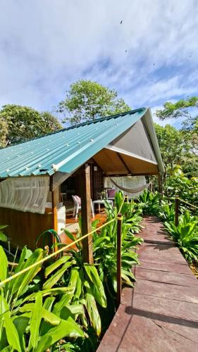 a building with a blue roof and a walkway at Mangle House Cabañas Ladrilleros in Buenaventura