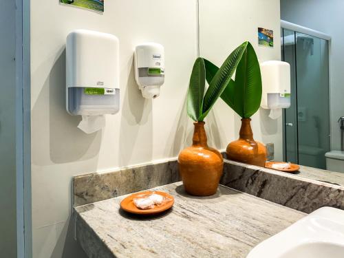 two vases sitting on a counter in a bathroom at Xingó Parque Hotel in Canindé de São Francisco