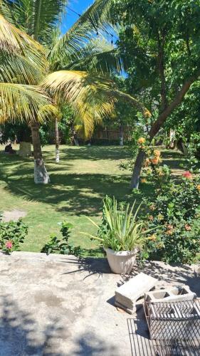 Jardí fora de Hostel Bella Luna