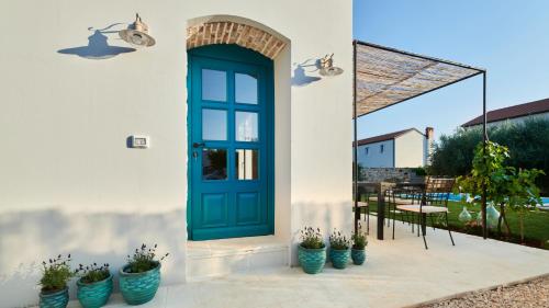 Villa Mediterranea with pool and grill in Umag