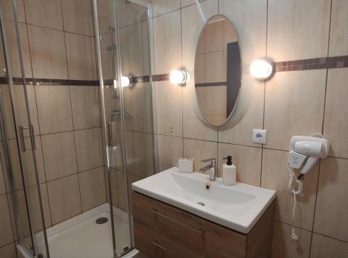 a bathroom with a sink and a shower and a mirror at Apartament Alice & Denis in Tohanu Nou