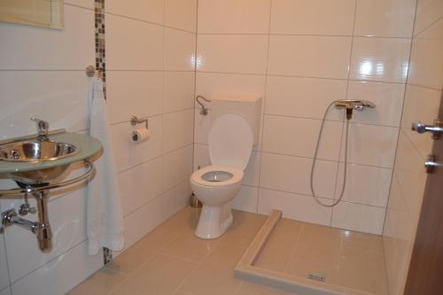 ein Bad mit einem WC, einem Waschbecken und einer Dusche in der Unterkunft Apartmani Antonio 1 in Brodarica