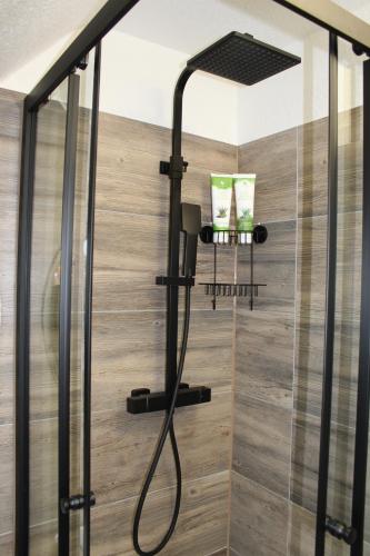 a shower with a shower head in a bathroom at Gemütliche Wohnung in Mendig in Mendig