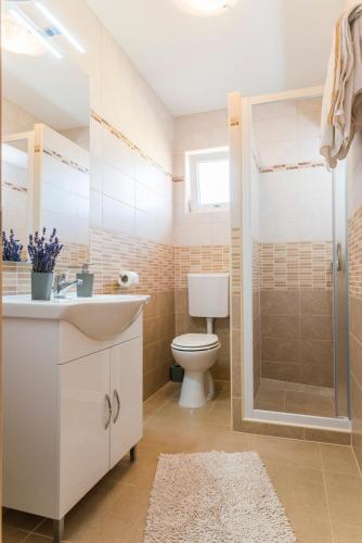 a bathroom with a toilet and a sink and a shower at Apartments Villa Nona in Umag