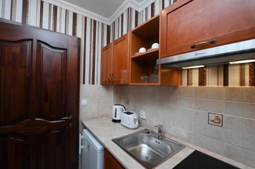 Kuchyň nebo kuchyňský kout v ubytování Rajna VillaBridge&SPA