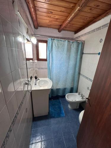 a bathroom with a sink and a toilet and a shower at Las Palomas in Trevelín