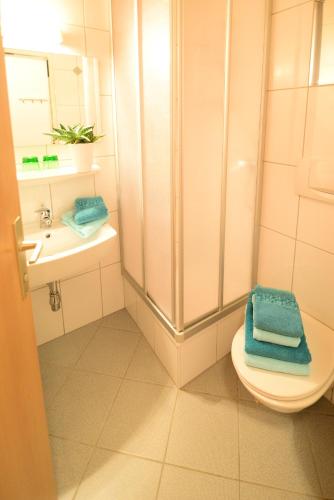 a bathroom with a shower and a toilet and a sink at Landhaus Zoppoth in Kötschach