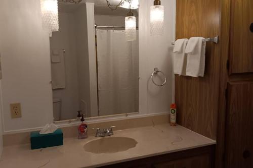 a bathroom with a sink and a shower at Cozy Cabin in Packwood in Randle