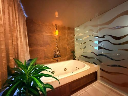 Bany a Hotel Suites Teziutlan
