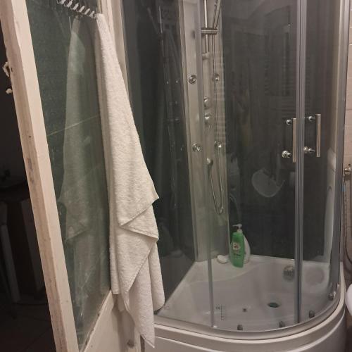 a shower in a bathroom with a glass shower stall at Tobyta nu primesc santieristi si petrecareti in Bucharest