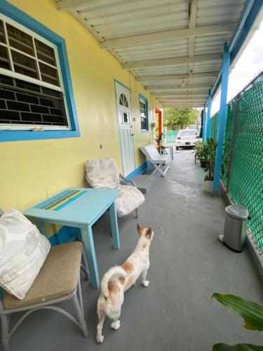 Ocean Sky Apartments