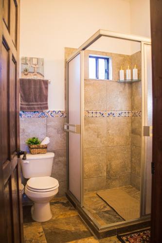 a bathroom with a toilet and a shower at Villas Persas by Jardin de Persia in Valle de Guadalupe
