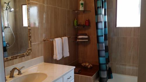 een badkamer met een wastafel en een douche bij Sunny Paradise in Cape Coral