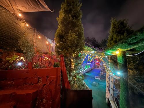 a garden decorated with christmas lights at night at Casita Garden n chill in Tijuana