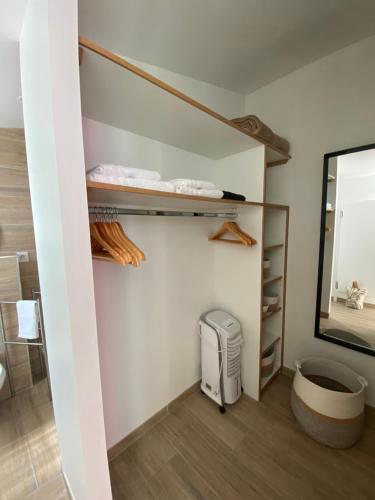 un bagno con cabina armadio con specchio di Le 5 bis a Mornac-sur-Seudre