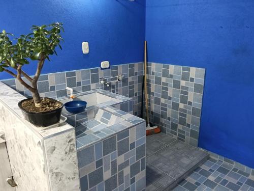 a bathroom with a sink and a potted plant at Van Gogh Duitama in Duitama