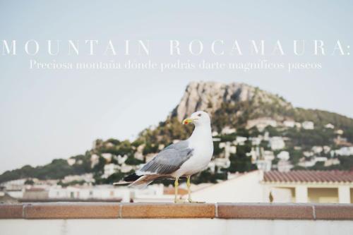 a bird sitting on top of a wall with a mountain at Hotel Santa Anna in L'Estartit