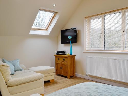 a living room with a couch and a tv at Magpie's Rest in Horrabridge