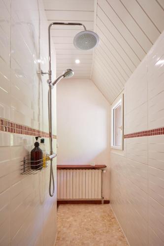 a bathroom with a shower in a room at les bois de saint auvent in La Geneytouse