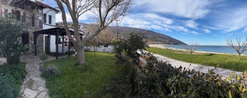 a house with a tree next to the ocean at Duchess Eva's Seafront Guesthouse in Chorefto