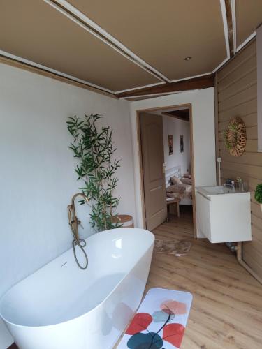 a bathroom with a white tub and a plant on the wall at Le Lys des Makes in Saint-Louis