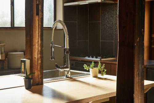 a kitchen sink with a faucet and two plants at kitanUOZU in Uozu