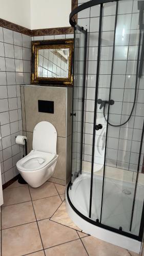 a bathroom with a toilet and a shower at Apartament 10 Słoneczna in Ełk