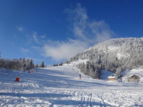 a snow covered ski slope with a mountain in the background at Appartement cosy à Bussang in Bussang