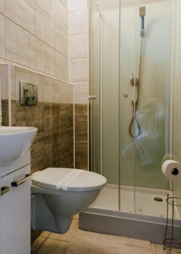 a bathroom with a toilet and a shower at Vistula City in Płock