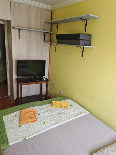 a bedroom with a bed and a tv and a bed with two bunkitures at Apartman Radaković in Subotica