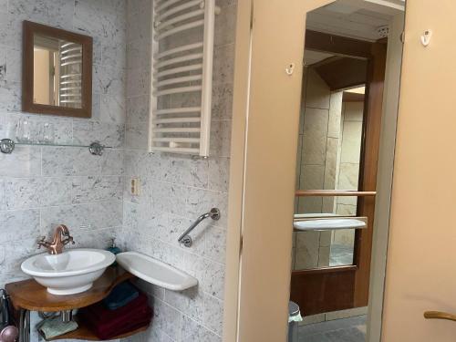 ein Badezimmer mit Waschbecken und Spiegel in der Unterkunft Selatuinen in Appelscha