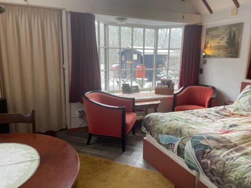 a hotel room with a bed and a desk and a table at Selatuinen in Appelscha