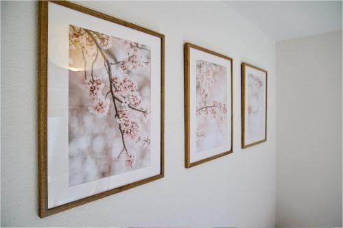 Harmonia - Garden in Kyoto - Kawaramachi Gojo, 4BR, maximum 10 people