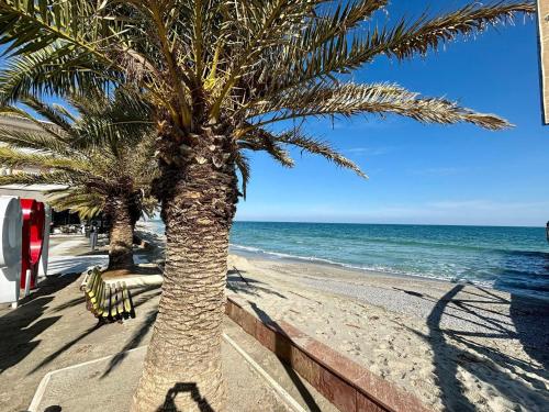 Apartments Vesna Luxury & Michel ap 9