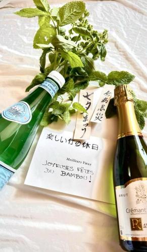 une bouteille de champagne et un livre avec une plante dans l'établissement Studio 6, à Paris