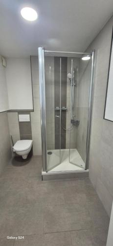 a bathroom with a shower and a toilet at Ilo's Zimmervermietung in Stadtallendorf