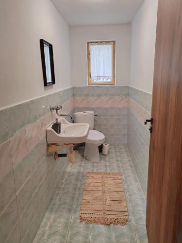 a bathroom with a toilet and a sink at ZorHouse Ždiar in Ždiar