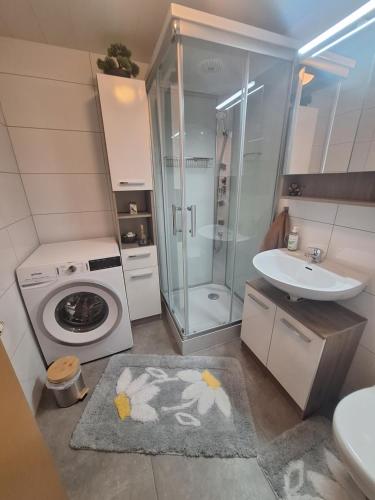 a bathroom with a sink and a washing machine at Vögelhof in Doren