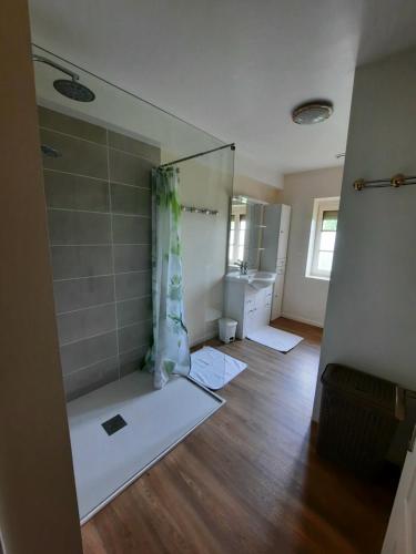 a bathroom with a shower and a sink and a mirror at Gîte de Maurin campagne in Marguestau